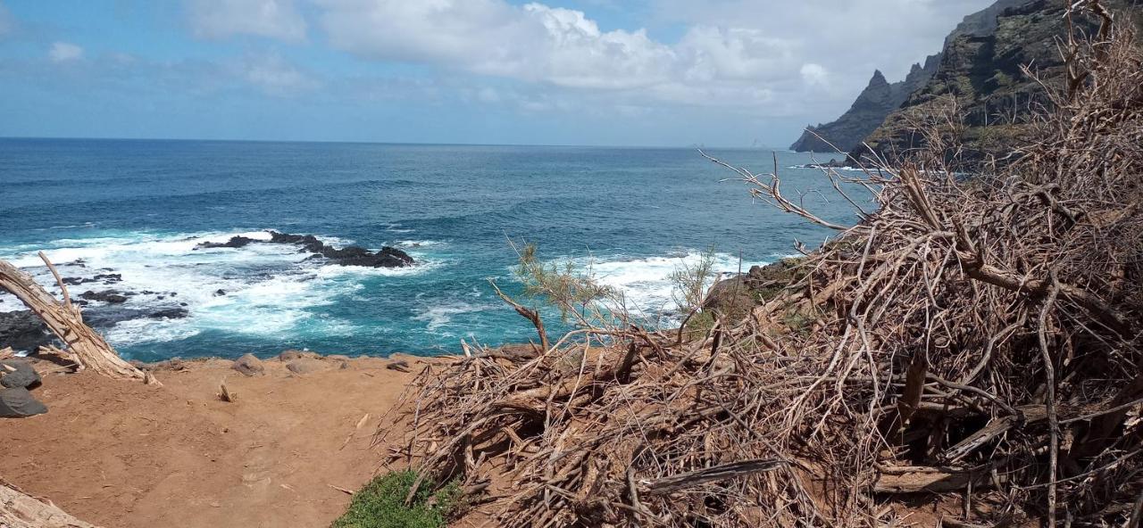 Playa Y Montana: Naturaleza Y Armonia 拉拉古纳 外观 照片